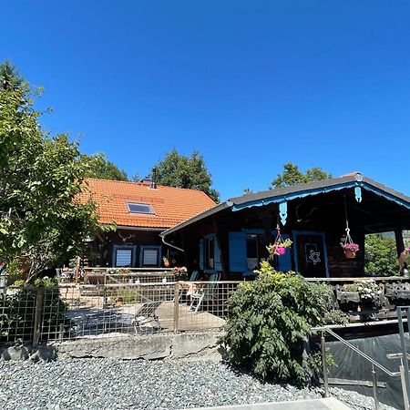 Apartament Haus Ebenberghof Zell am See Zewnętrze zdjęcie