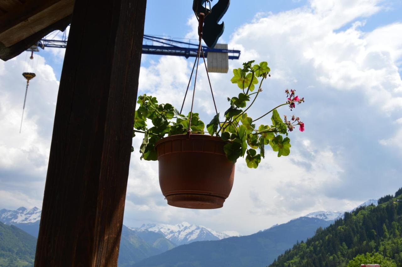 Apartament Haus Ebenberghof Zell am See Zewnętrze zdjęcie